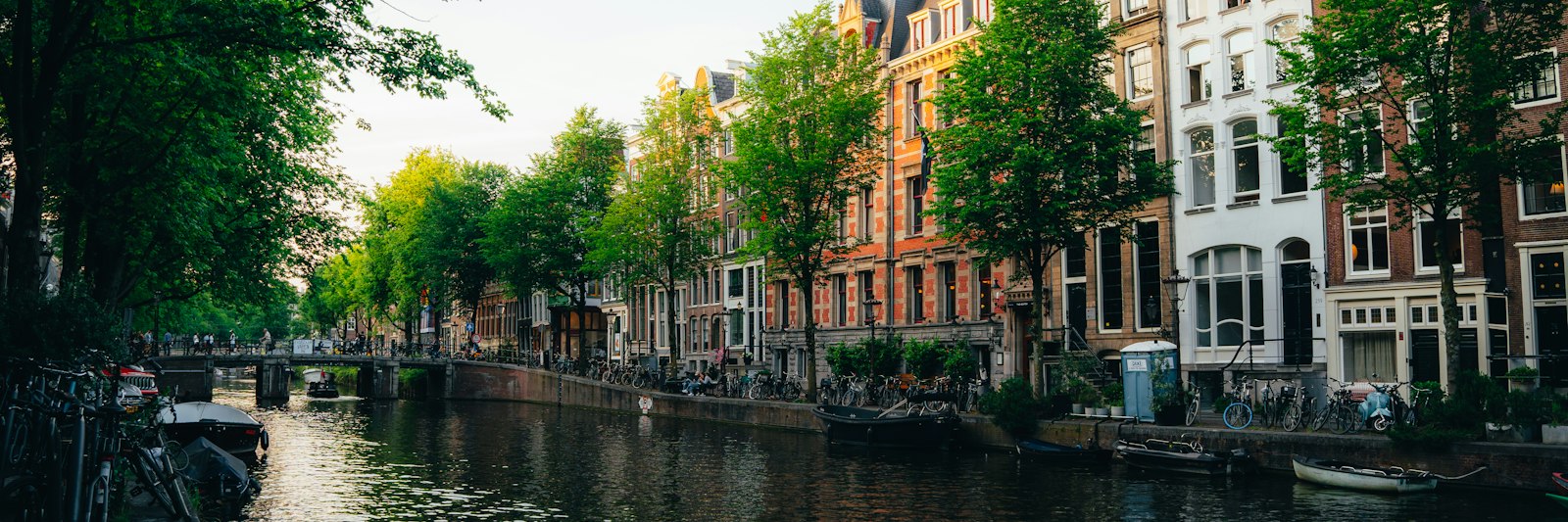 Amsterdamse gracht met historische grachtenpanden en bomen.